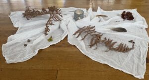 Stage de yoga en automne